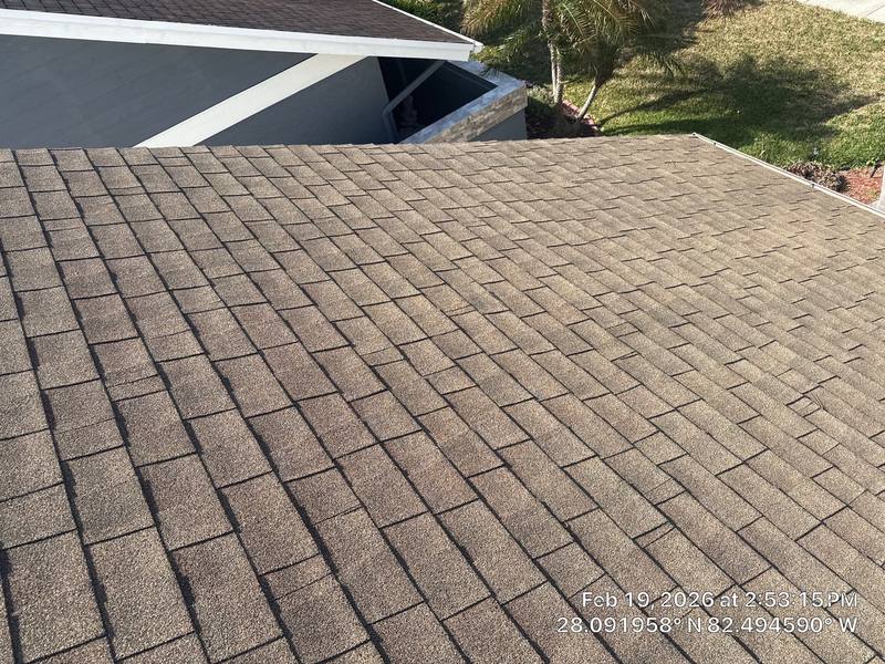 roofing project near Glenarn Dr in Tampa