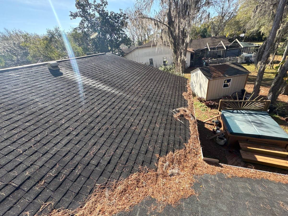shingle roof replacement in Odessa, Florida