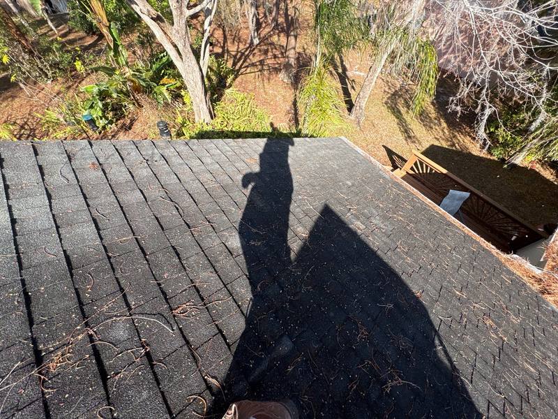 shingle roof replacement in Odessa, Florida