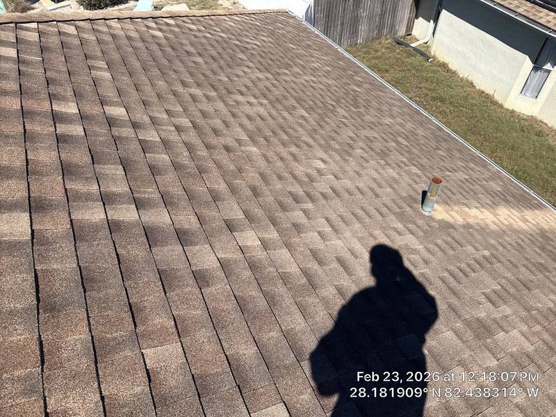 roof repair in Lutz, Florida