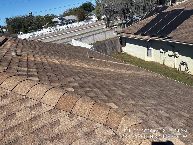 completed roofing project in Lutz FL