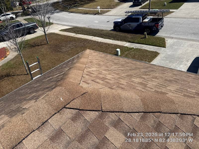 roofing project near Sterling Manor Loop in Lutz