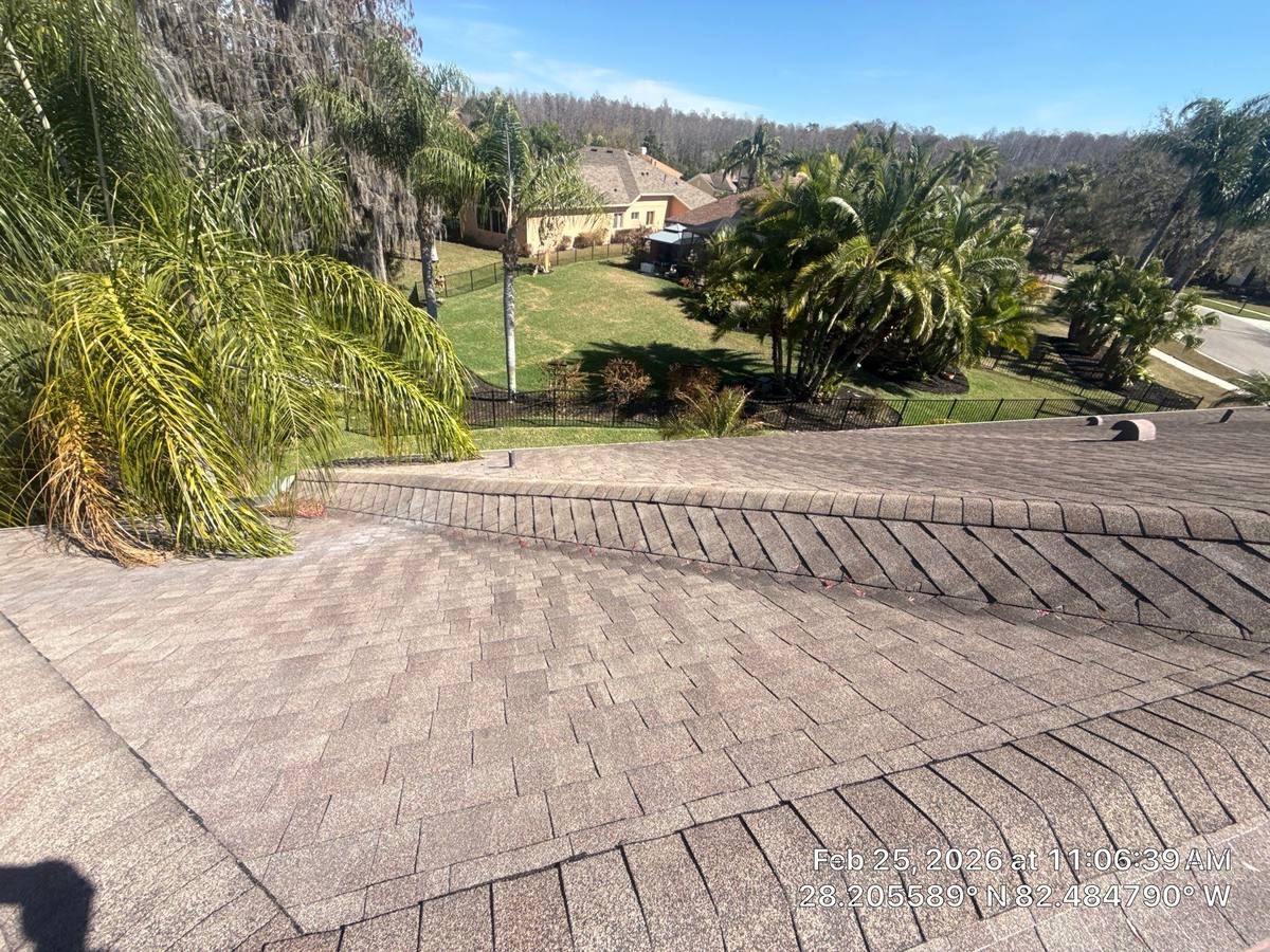 shingle roof replacement in Land O Lakes, Florida