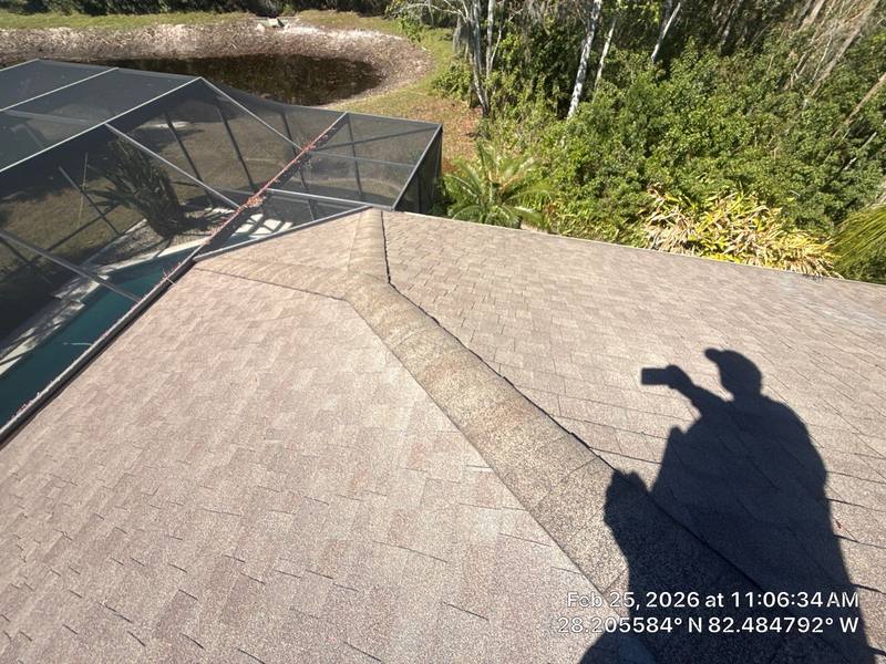 roofing project near Sheehan Dr in Land O Lakes