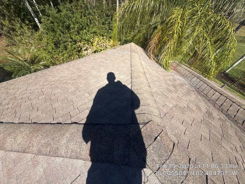 roofing project near Sheehan Dr in Land O Lakes