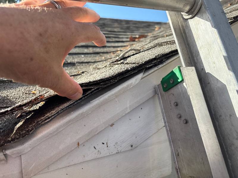 roof replacement in Port Richey, Florida