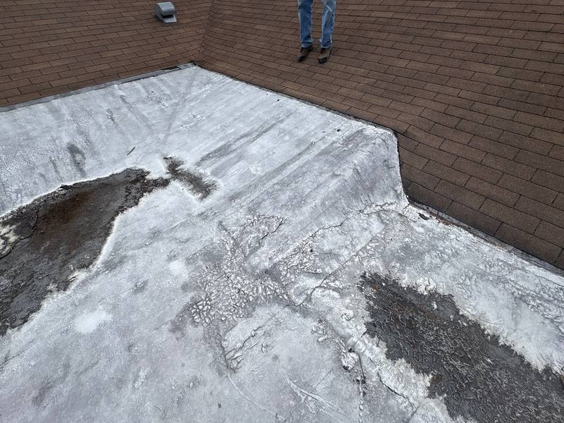 shingle roof replacement in New Port Richey, Florida