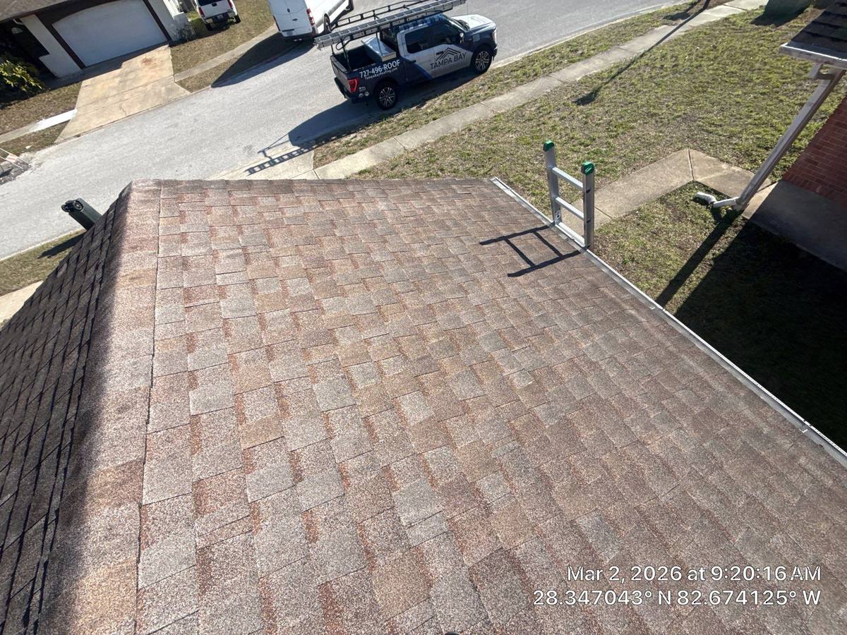 shingle roof replacement in Hudson, Florida