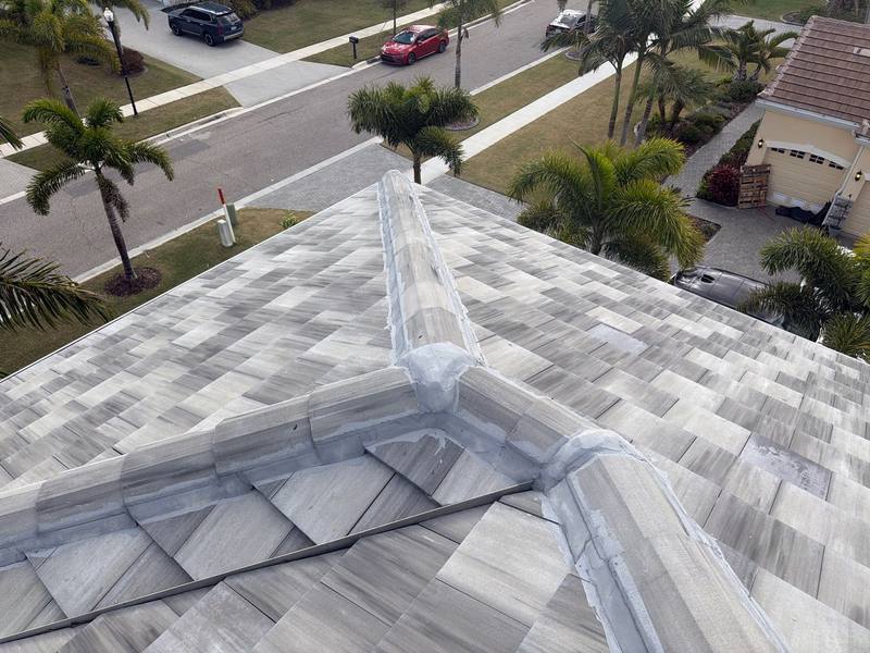 roofing project near Manns Harbour Dr in Apollo Beach
