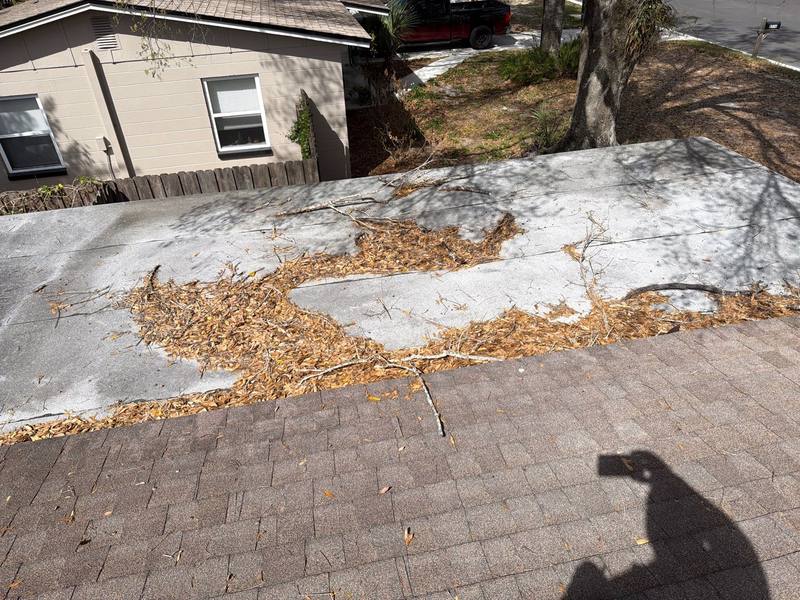 completed roofing project in Tampa FL