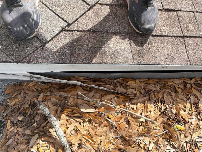 residential shingle roof replacement by Hloska Roofing in Tampa