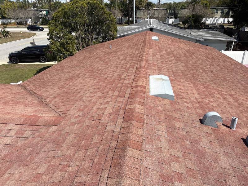 shingle roof replacement in Clearwater, Florida