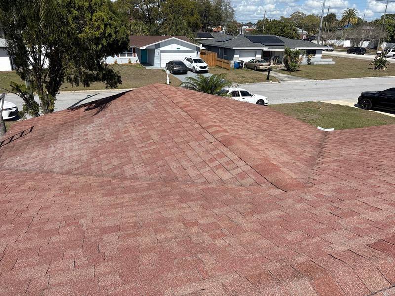 residential shingle roof replacement by Hloska Roofing in Clearwater