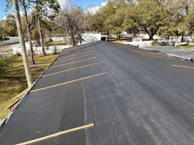 residential shingle roof replacement by Hloska Roofing in Wesley Chapel