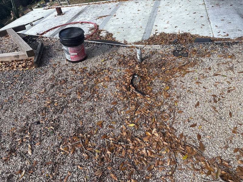 roofing project near N Hamner Ave in Tampa