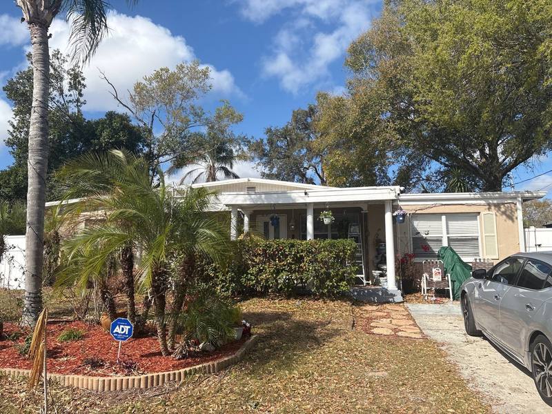 shingle roof replacement in Tampa, Florida
